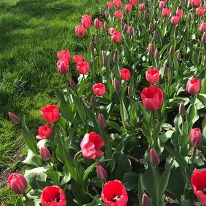 Meet your Posher, Sara